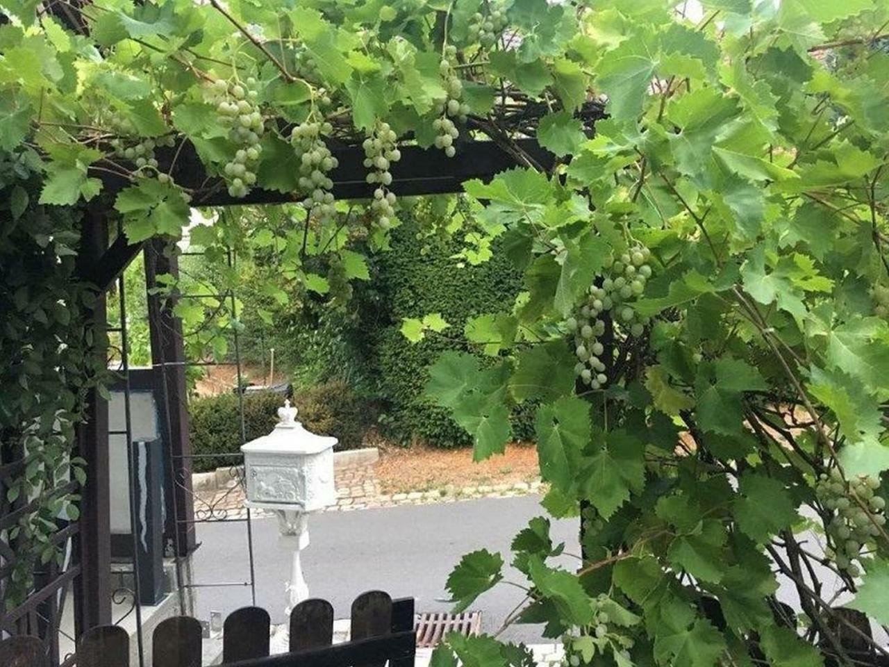 Ferienwohnung Kleiner Kalle Melsungen Exterior foto